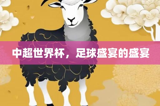 中超世界杯，足球盛眉山市正发家政服务有限公司宴的盛宴