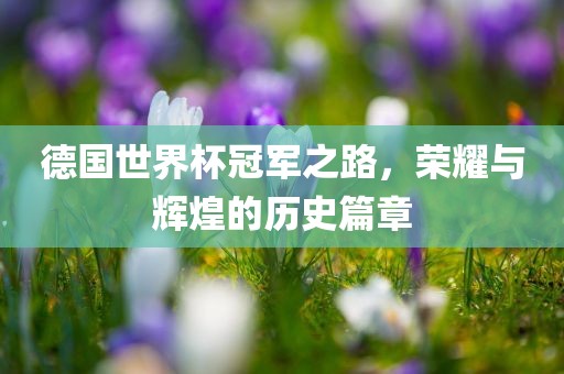 德国世界杯冠眉山市正发家政服务有限公司军之路，荣耀与辉煌的历史篇章