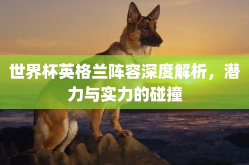 世界杯英格兰阵容深度解析，潜力与实力的碰眉山市正发家政服务有限公司撞