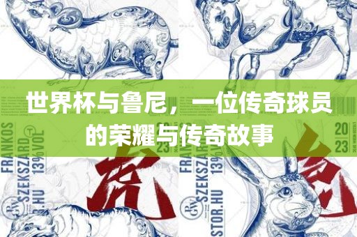 世界杯与鲁尼，一位传奇球员的眉山市正发家政服务有限公司荣耀与传奇故事