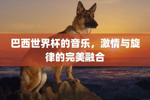 巴西世界杯的音乐，激情与旋律的完美融合