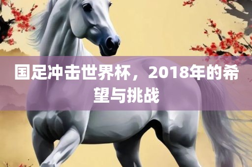 国足冲击眉山市正发家政服务有限公司世界杯，2018年的希望与挑战