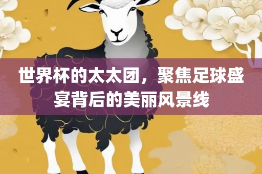 世界杯的太太团，聚焦足球盛宴背后的美丽风景线