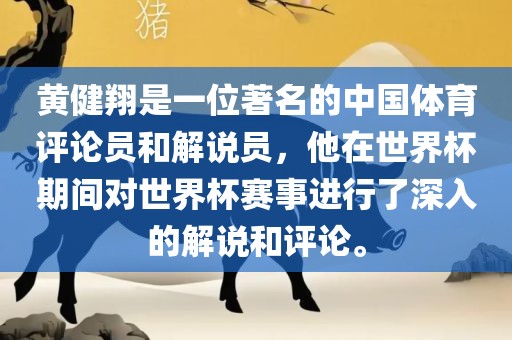 黄健翔是一位著名的中国体育评论员和解说员，他在世界杯期间对世界杯赛事进行了深入的解说和评论。