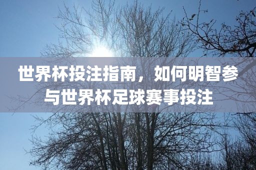 世界杯投注指南，如何明智参与世界杯足球赛事投注眉山市正发家政服务有限公司