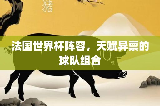 法国世界杯阵容，天赋异禀的球队组合眉山市正发家政服务有限公司