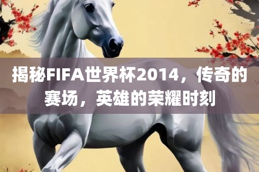 揭秘FIFA世界杯2014，传奇的赛场，英雄的荣耀时刻