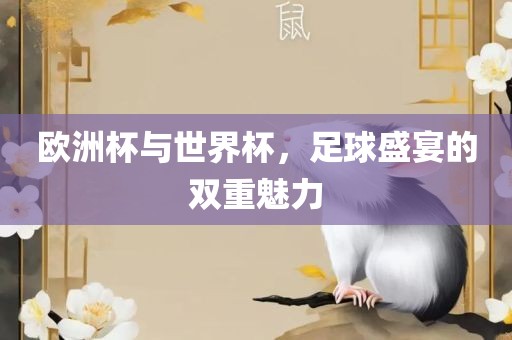 欧洲杯与世界杯，足球盛宴的双重魅力眉山市正发家政服务有限公司