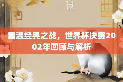 重温经典之战，世界杯决赛2002年回顾与解析眉山市正发家政服务有限公司