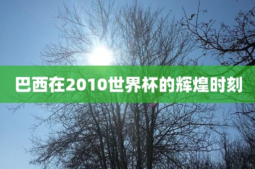 巴西在2010世界杯的辉煌时刻