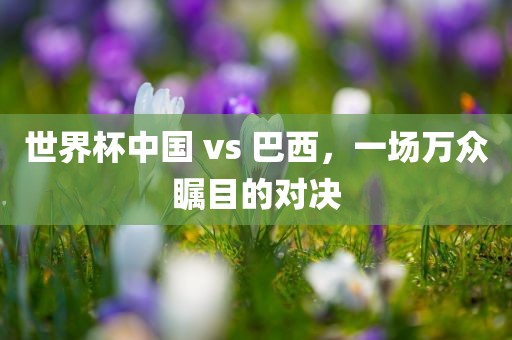 世界杯中国 vs 巴西，一场万众瞩目的对决眉山市正发家政服务有限公司
