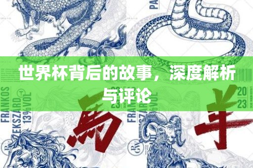世界杯背后的故事，深度解析与评论