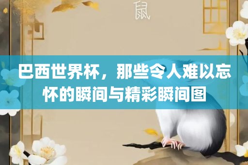 巴西世界杯，那些令人难以忘怀的瞬间与精彩瞬间图