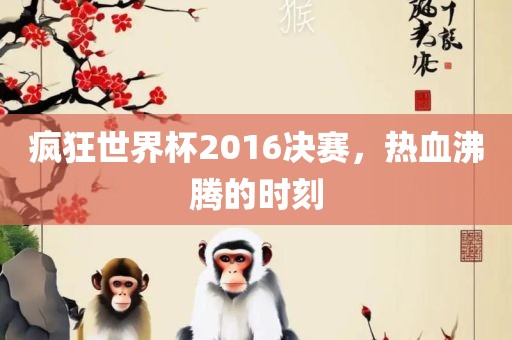 疯狂世界杯2016决赛，热血沸腾的时刻眉山市正发家政服务有限公司