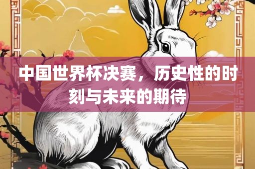 中国世界杯决赛，历史性的时刻与未来的期待眉山市正发家政服务有限公司