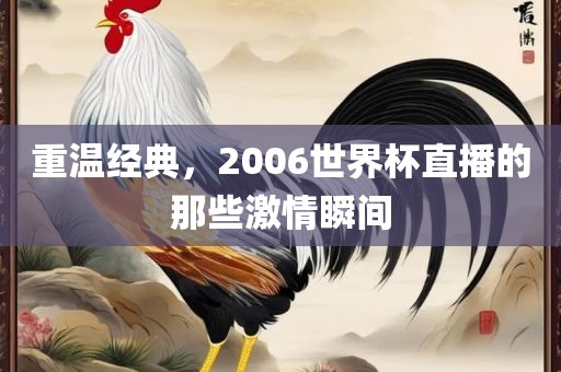 重温经典，2006世界杯直播的那些激情瞬间眉山市正发家政服务有限公司