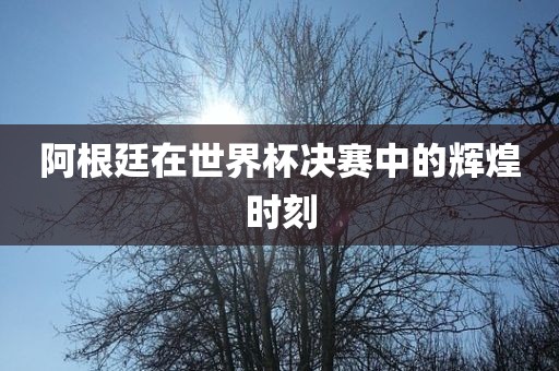 阿根廷在世界杯决赛中的辉煌时刻