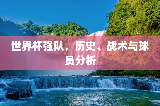 世界杯强队，历史、战术与球员分析眉山市正发家政服务有限公司