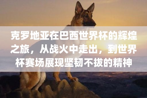 克罗地亚在巴西世界杯的辉煌之旅，从战火中走出，到世界杯赛场展现坚韧不拔的精神