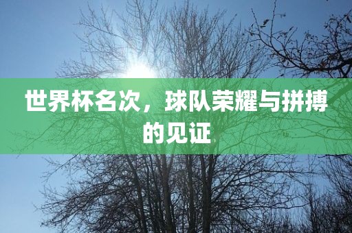 世界杯名次，球眉山市正发家政服务有限公司队荣耀与拼搏的见证