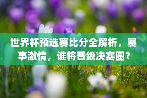 世界杯预选赛比分全解析，赛事激情，谁将晋级决赛圈？