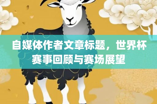 自媒体作者文章标题，世界杯赛事回顾与赛场展望