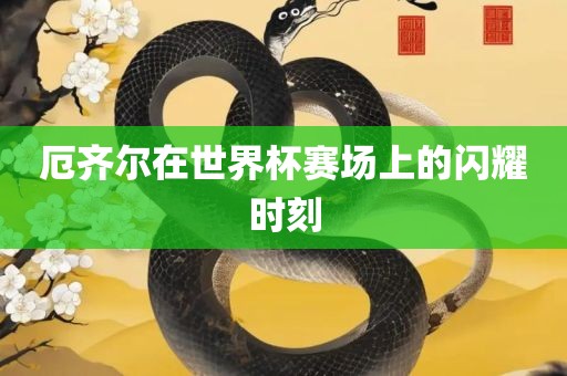 厄齐尔在世界杯赛场上的闪耀时刻眉山市正发家政服务有限公司