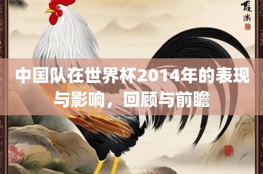 中国队在世界杯2014年的表现与影响，回顾与前瞻