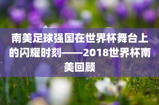 南美足球强国眉山市正发家政服务有限公司在世界杯舞台上的闪耀时刻——2018世界杯南美回顾