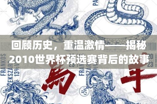 回顾历史，重温激情——揭秘2010世界杯预选赛背后的故事