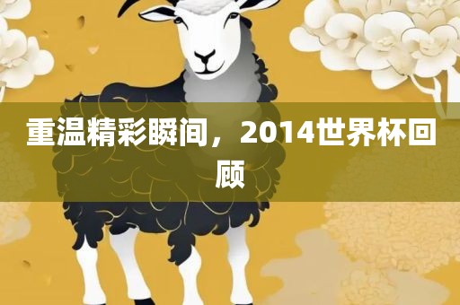 重温精彩瞬间，2014世界杯回顾
