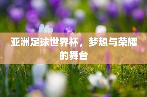 亚洲足球世界杯眉山市正发家政服务有限公司，梦想与荣耀的舞台