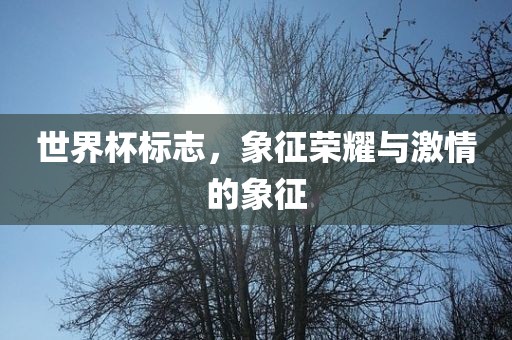 世界杯标志，象征荣耀与激情的象征