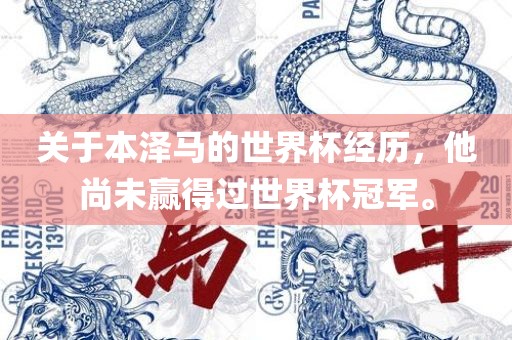 关于本泽马的世界杯经历，他尚未赢得过世界杯冠军。眉山市正发家政服务有限公司