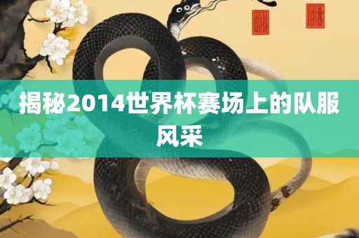 揭秘2014世界杯赛场上的队服风采眉山市正发家政服务有限公司