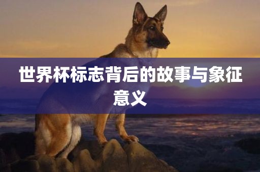 世界杯标志背后的故事与象征意义