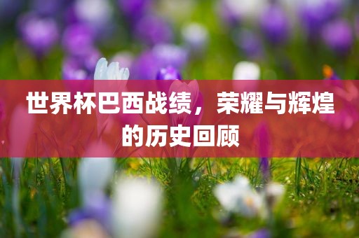 世界眉山市正发家政服务有限公司杯巴西战绩，荣耀与辉煌的历史回顾