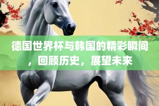 德国世界杯与韩国的精彩瞬间，回顾历史，展望未来