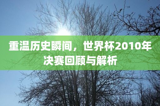 重温历史瞬间，眉山市正发家政服务有限公司世界杯2010年决赛回顾与解析