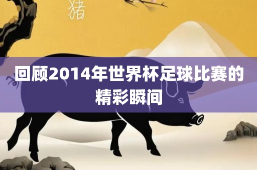 回顾2014年世界杯足球比赛的精彩瞬间