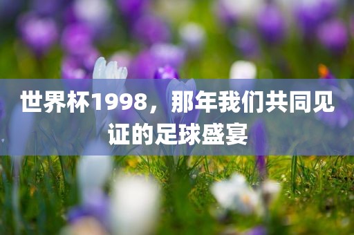 世界杯1998，那年我们共同见证的足球盛宴眉山市正发家政服务有限公司