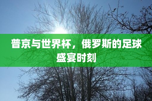 普京与世界杯，俄罗斯的足球盛宴时刻眉山市正发家政服务有限公司