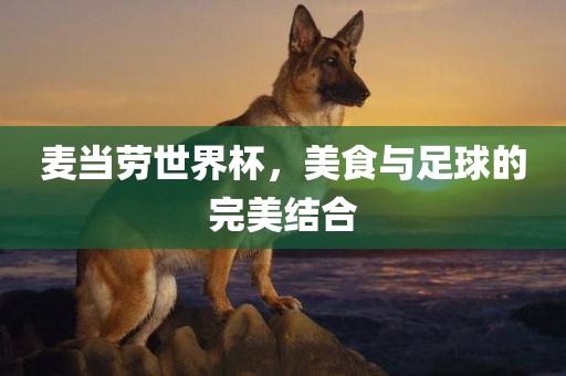 麦当劳世界杯，美食与足球的完美结合眉山市正发家政服务有限公司
