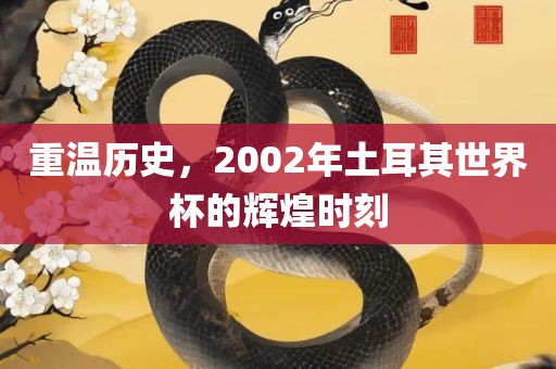 重温历史，2002年土耳其世界杯的辉煌时刻