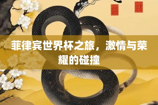 菲律宾世界杯之旅，激情与荣眉山市正发家政服务有限公司耀的碰撞