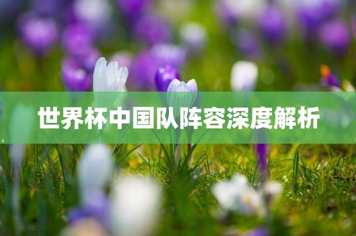 世界杯中国队阵容深度解析