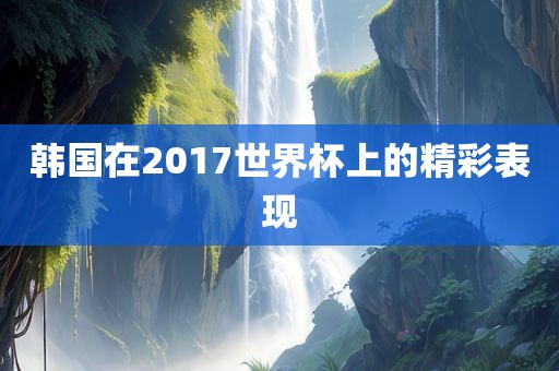 韩国在2017世界杯上的精彩表现