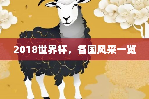 2018世界杯，各国风采一览
