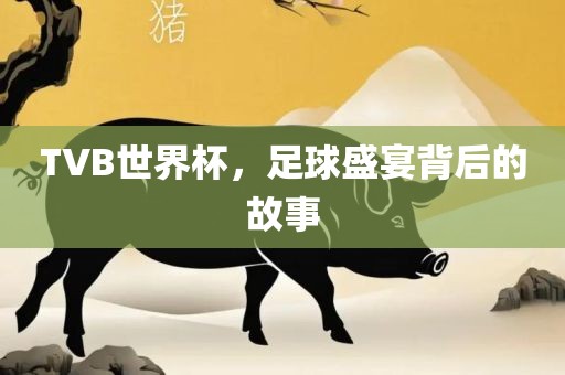 TVB世界杯，足球盛眉山市正发家政服务有限公司宴背后的故事