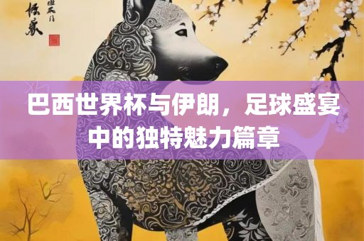 巴西世界杯与伊朗，足球盛宴中的独眉山市正发家政服务有限公司特魅力篇章